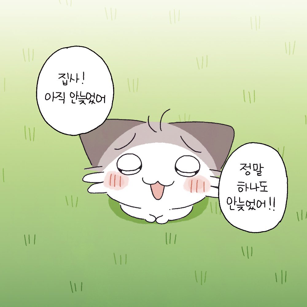 딩딩이! ..베레 tweet media