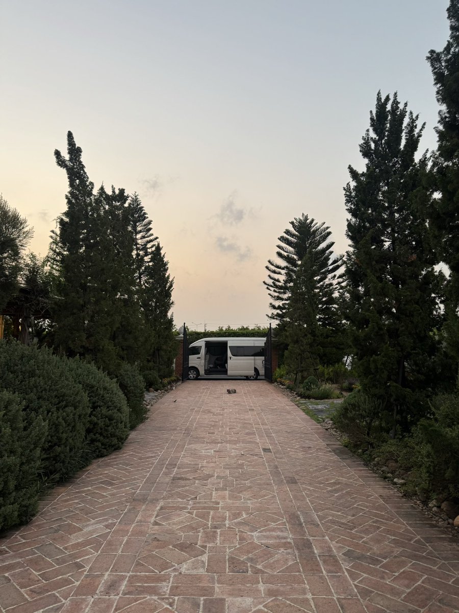 PeterPanCake! tweet media