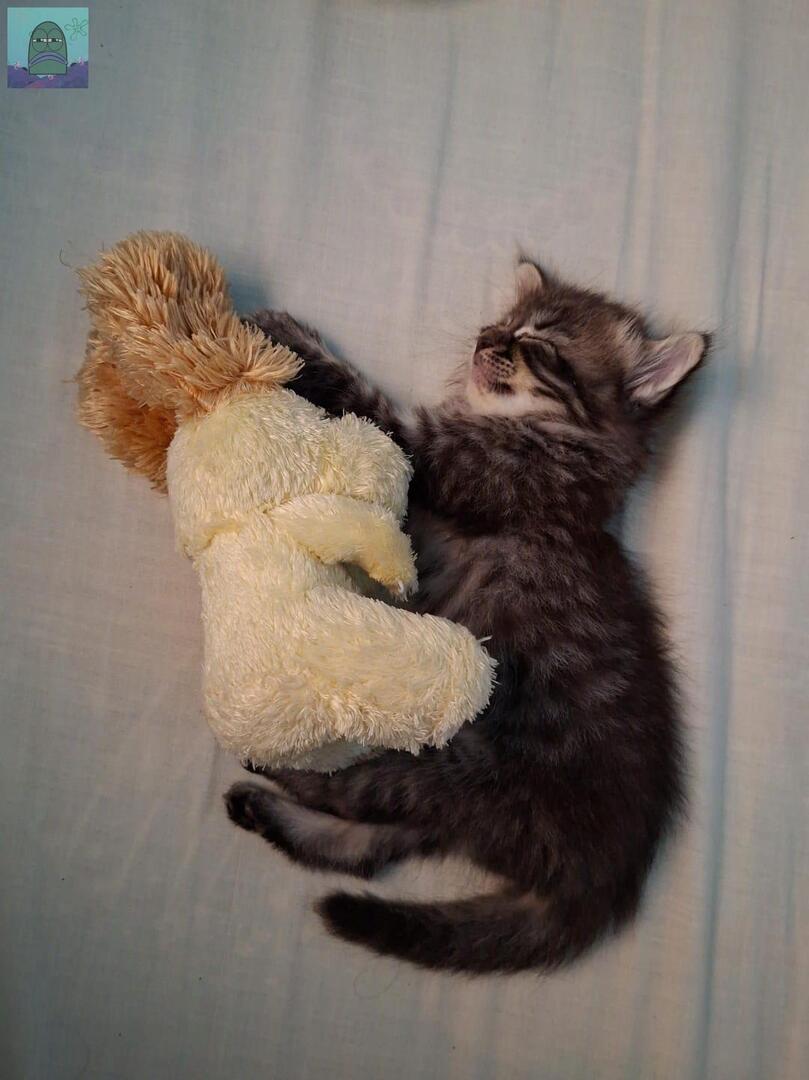 Tanyarl 💚 tweet media