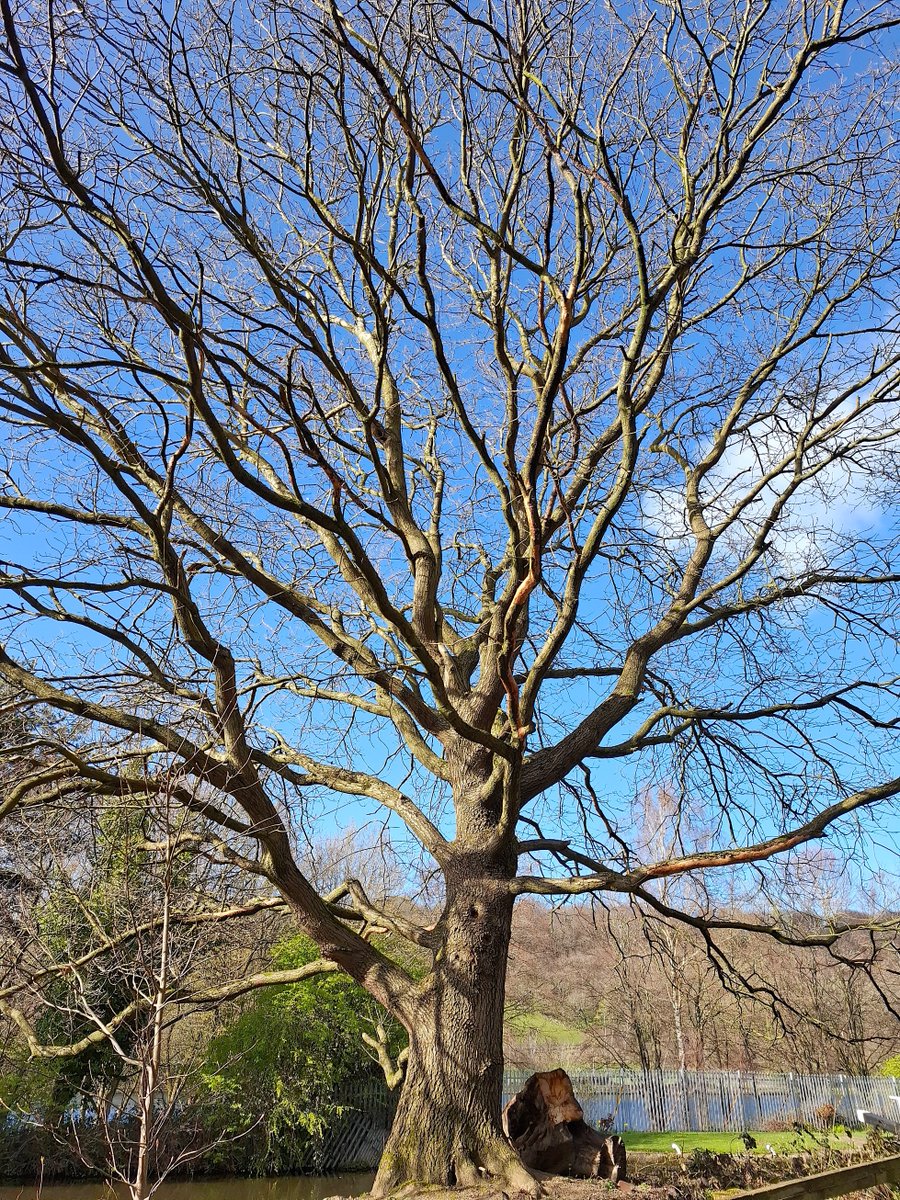 Lee Broughton tweet media