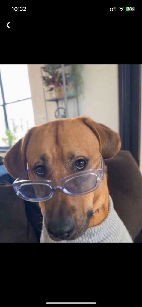 Dr. GITAMURI tweet media