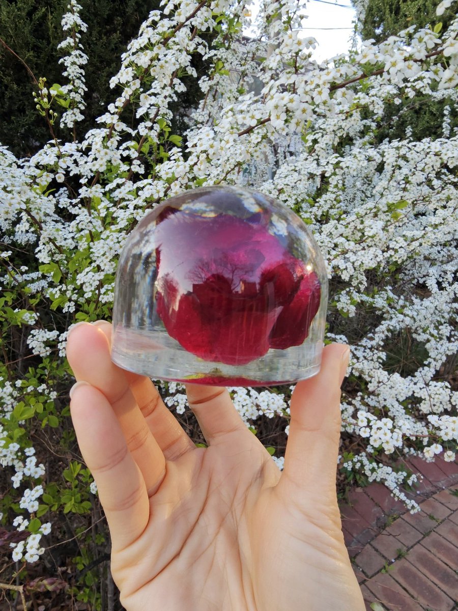 네가내린밤 tweet media