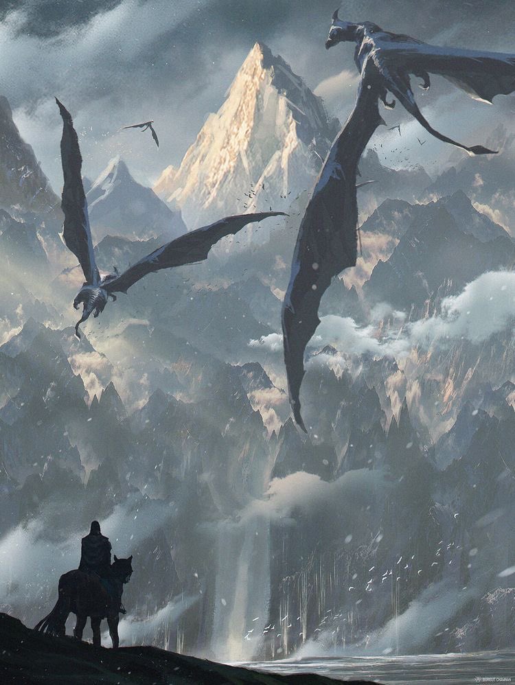 solringen tweet media