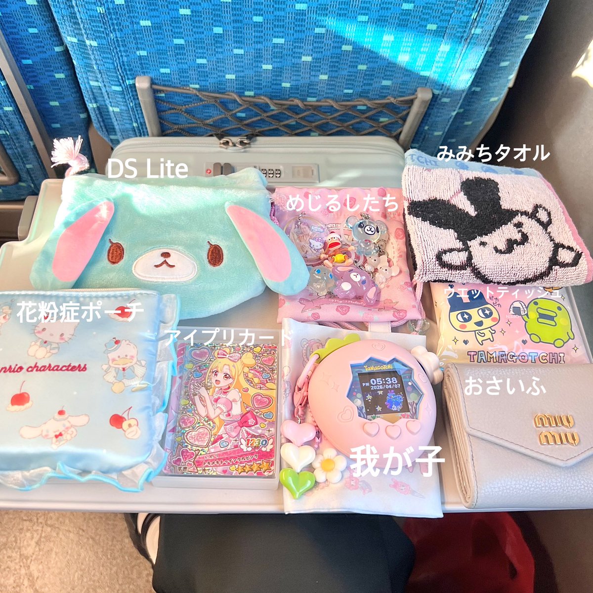 めぐめぐめぐたん♪可愛い物は最強!です。 めぐめぐ (@mgmg_dayo_ou) / Posts / X