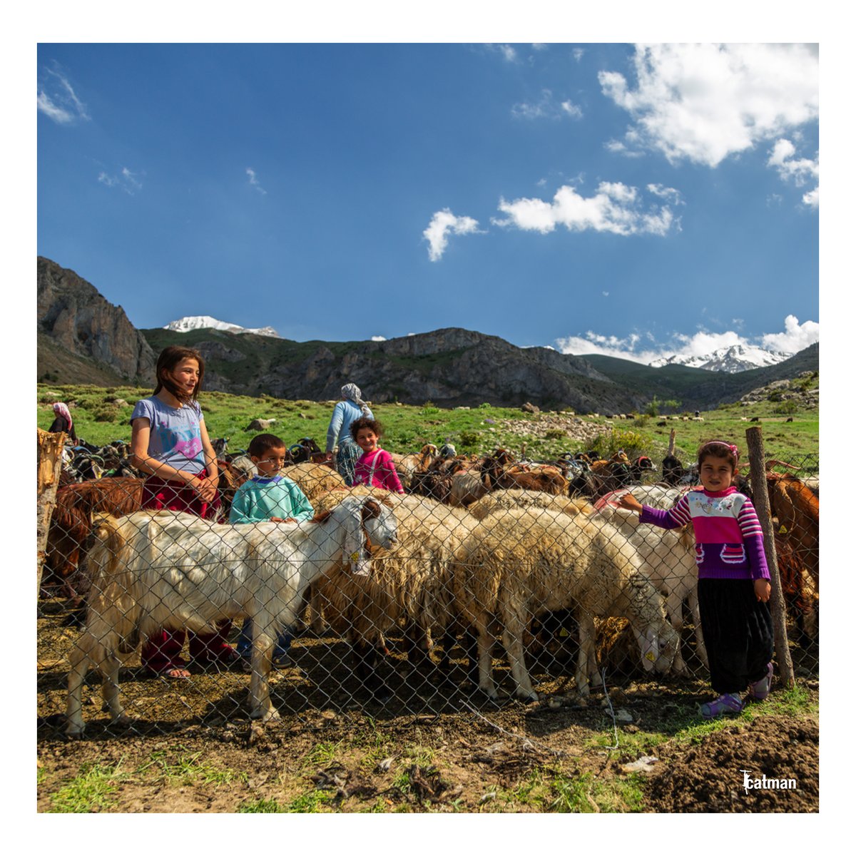 fatih kızılkaya tweet media