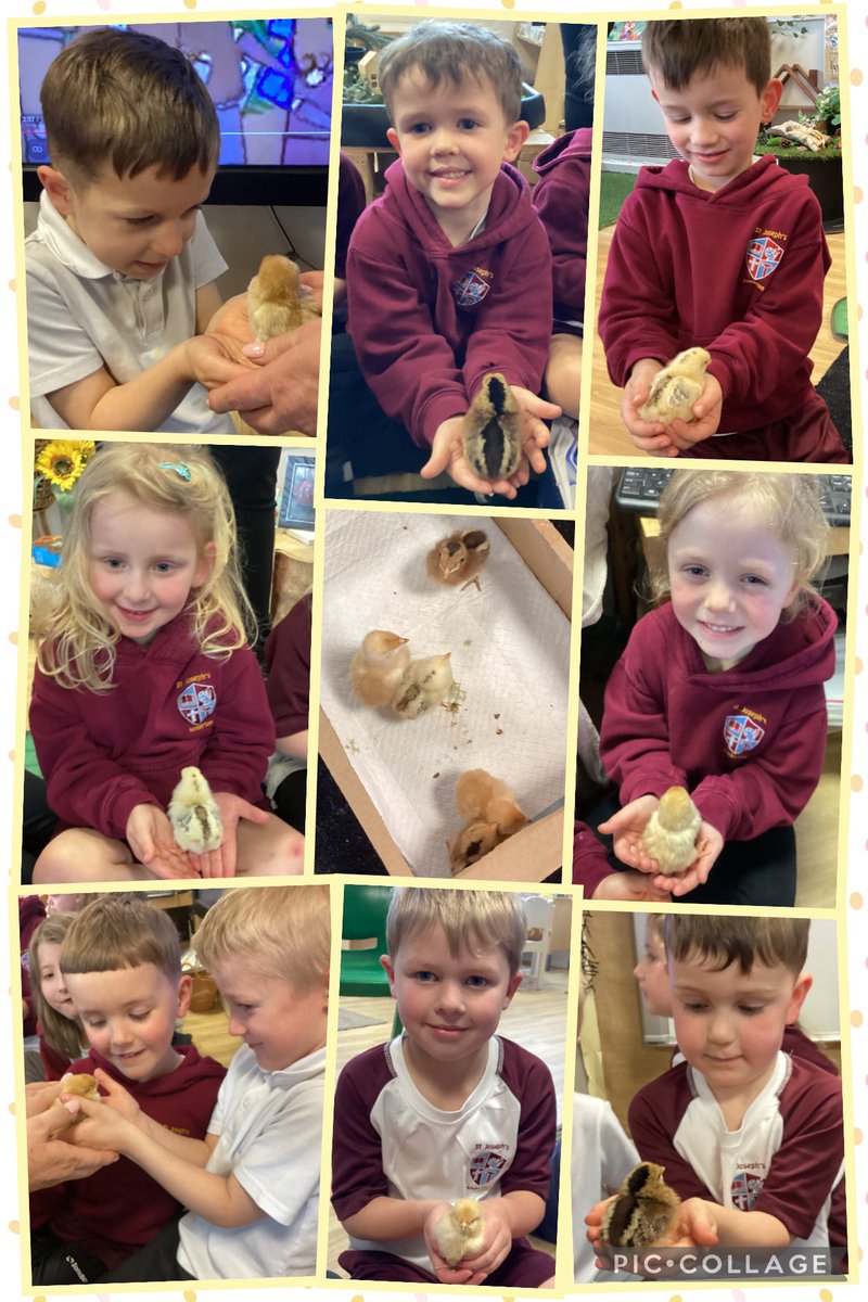 EYFS with Miss S tweet media