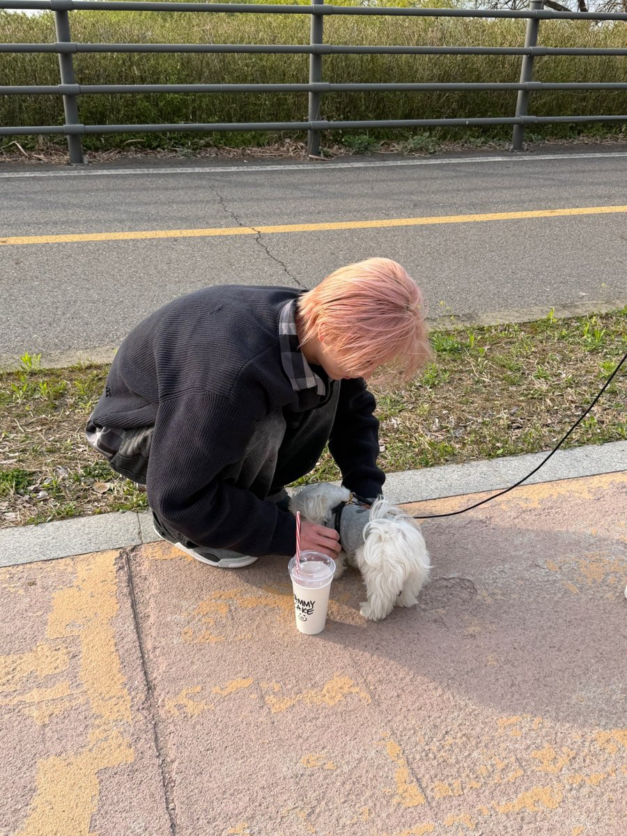 rshinyu's tweet photo. Hey, the weather is just right for a stroll. Wanna join me and my cute puppy for a walk? 🐾 https://t.co/i2lg8Wh6DO