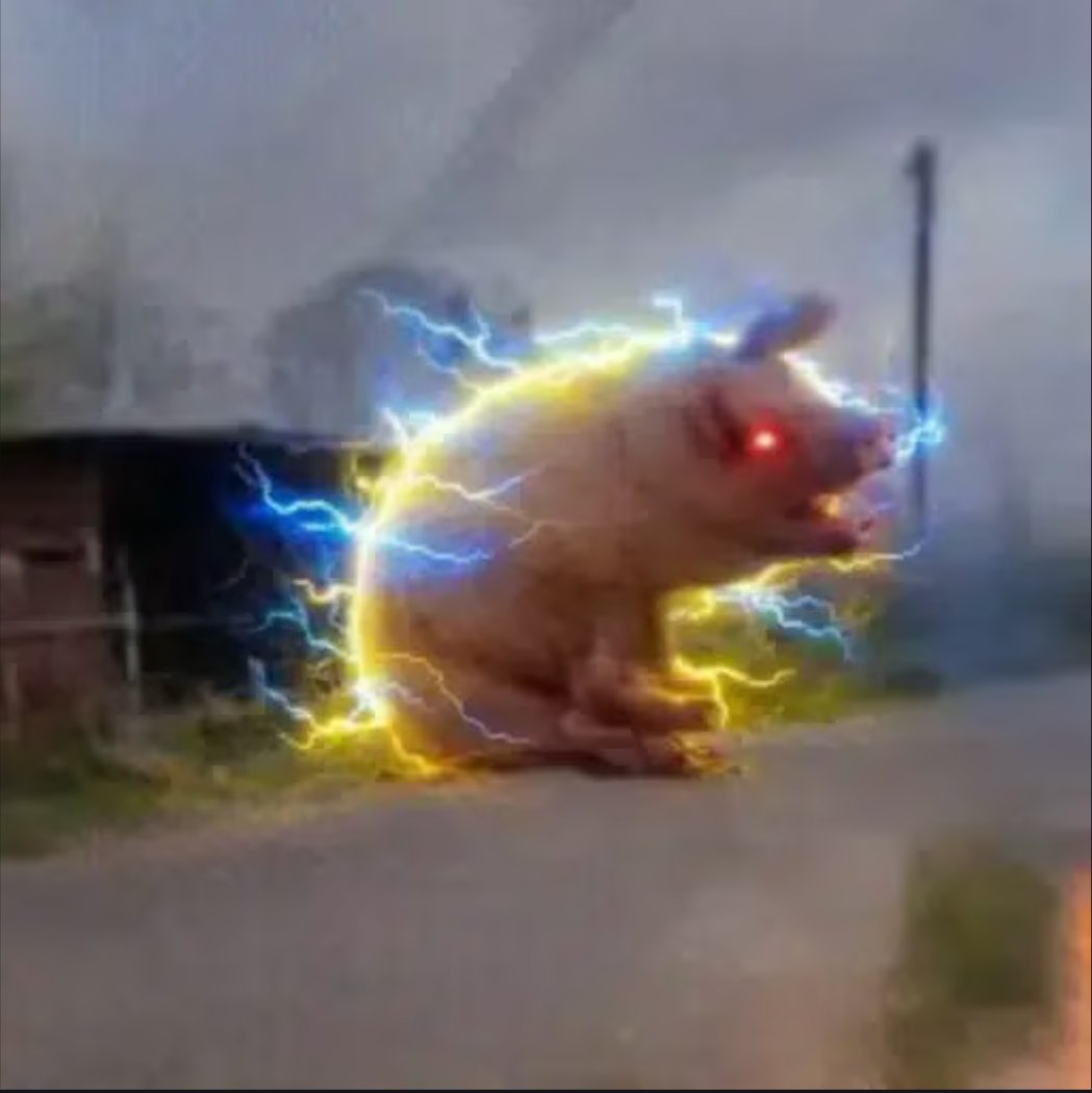 This pig is literally blowing up on X.

It has its own trending page.

x.com/i/trending/204…