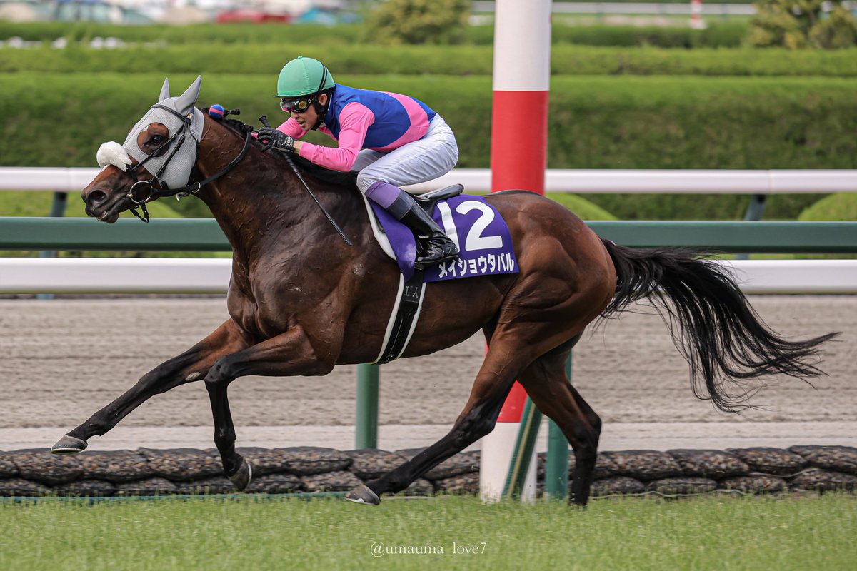 はなた tweet media