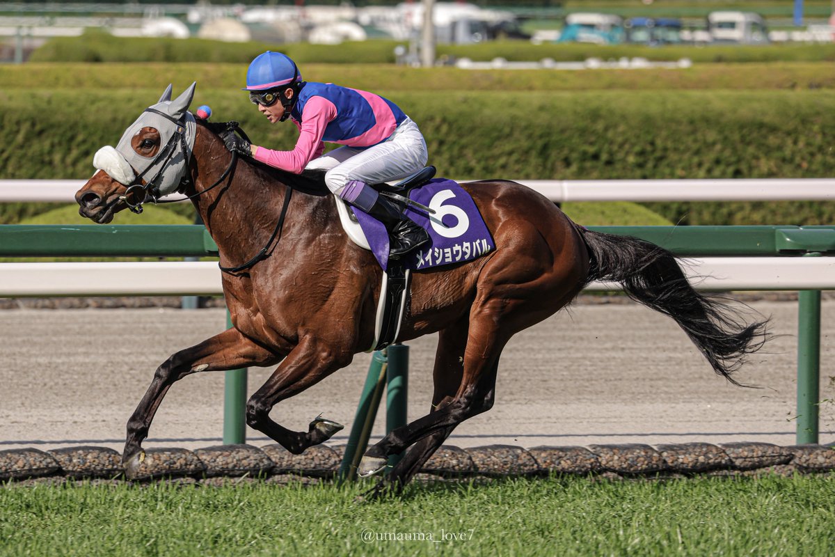 はなた tweet media