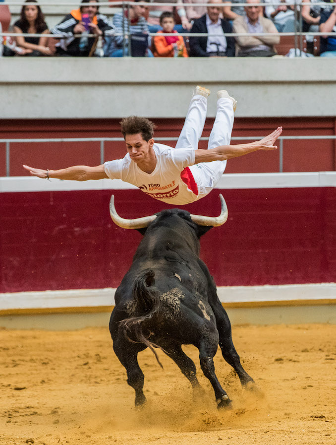 rhmayte's tweet photo. @hispaniaenlucha Metiéndose en el papel de "recortadora oficial" se pone el traje para coger al toro por los cuernos.  Cuando se habla de CONTROL tengo la impresión q es una trampa empresarial acordada. Hay q tener cuidado con los toros heridos d tanto puyazo, si se revuelven te sacan de la silla https://t.co/1xaovjsx91