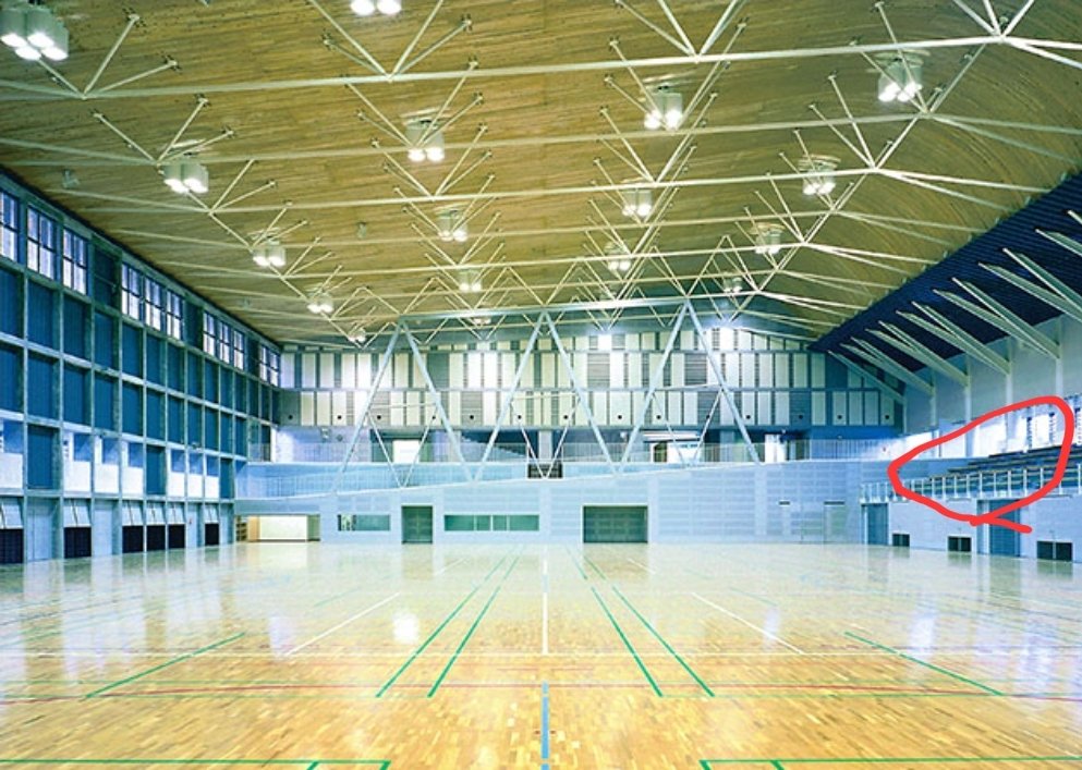 🐾かめりな🐢 tweet media