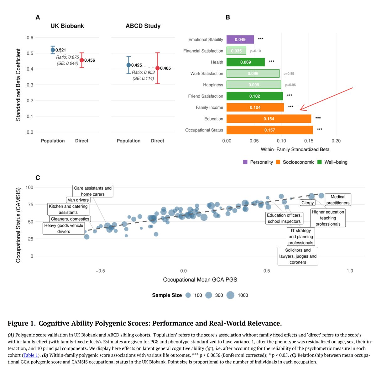PsikoBilim tweet media