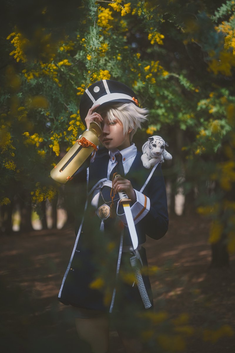 たんぽぽまぎゅた🌼 tweet media