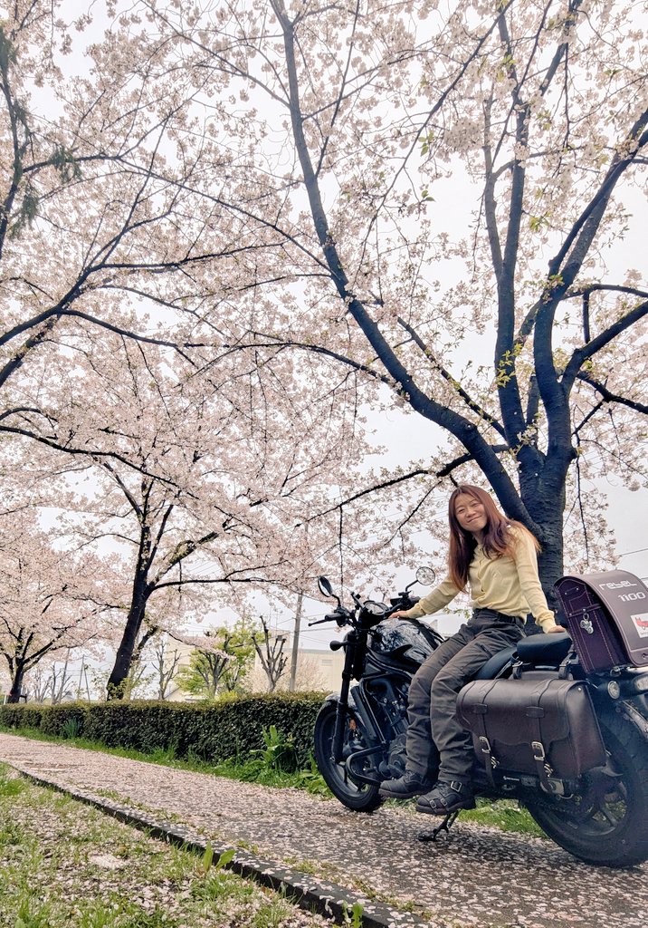 はさみさん(* ´ ▽ ` *) tweet media