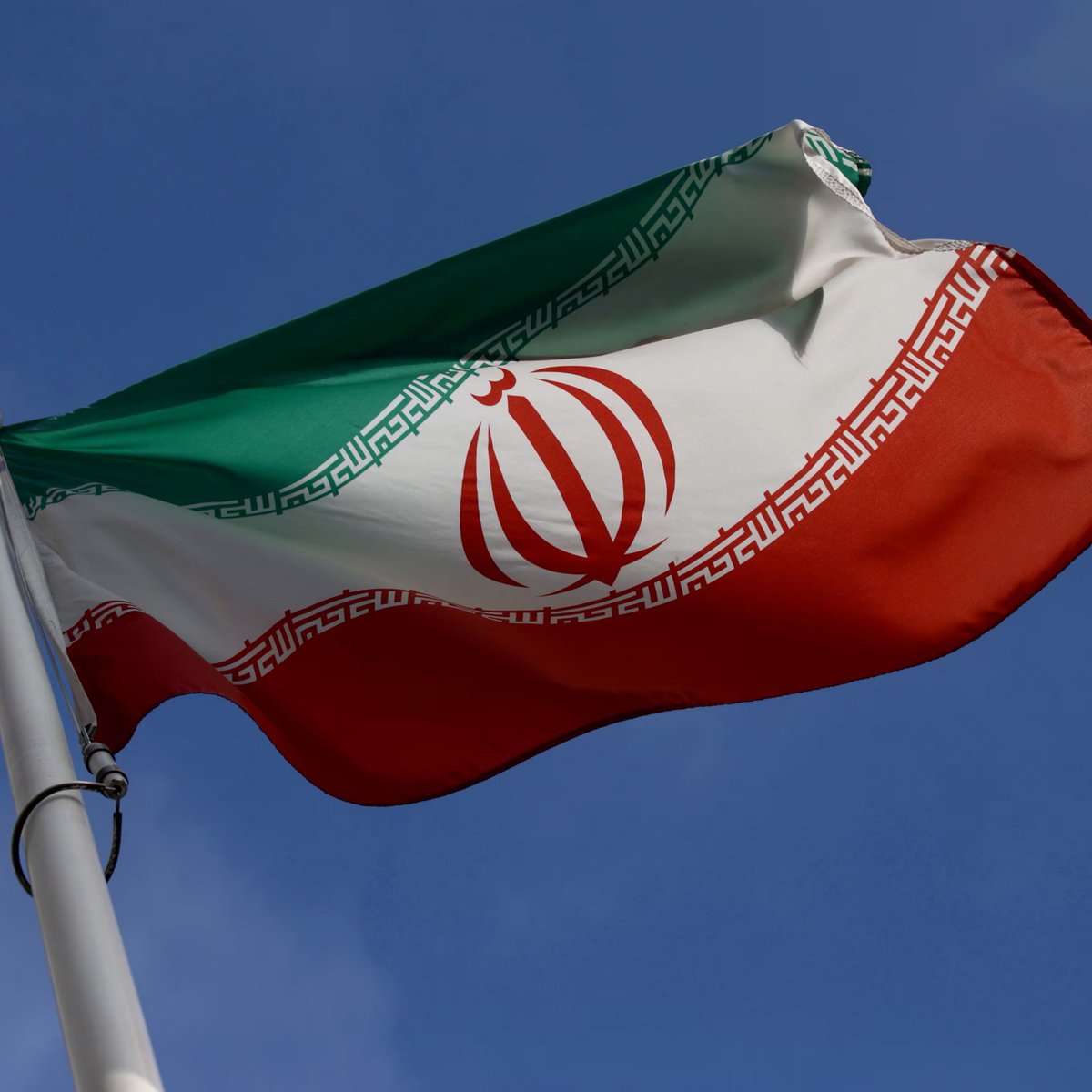 Whale Insider tweet media