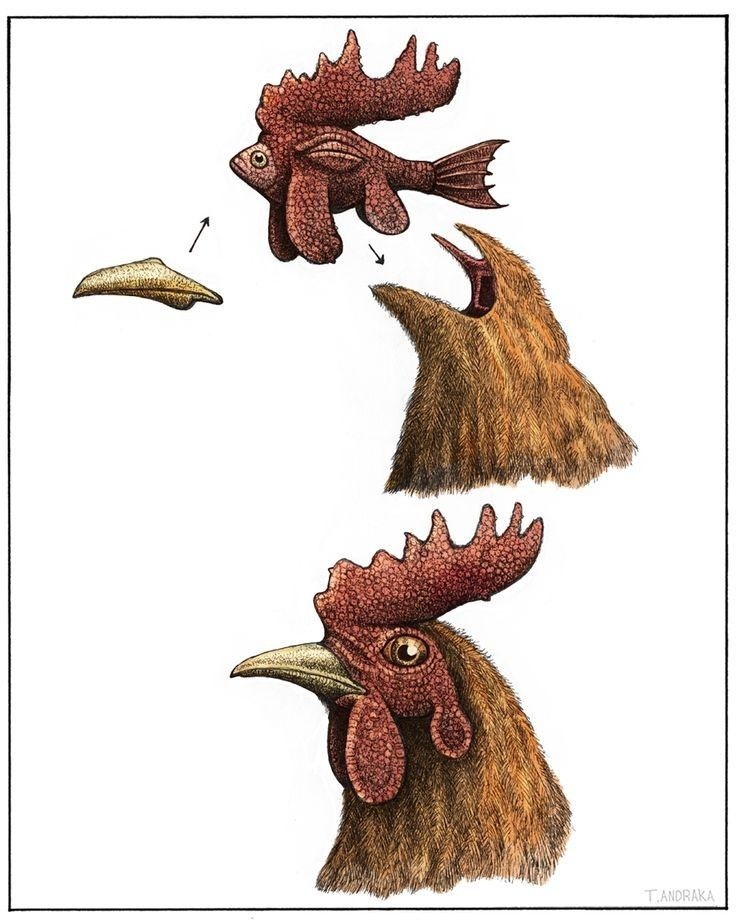 untitled folder tweet media