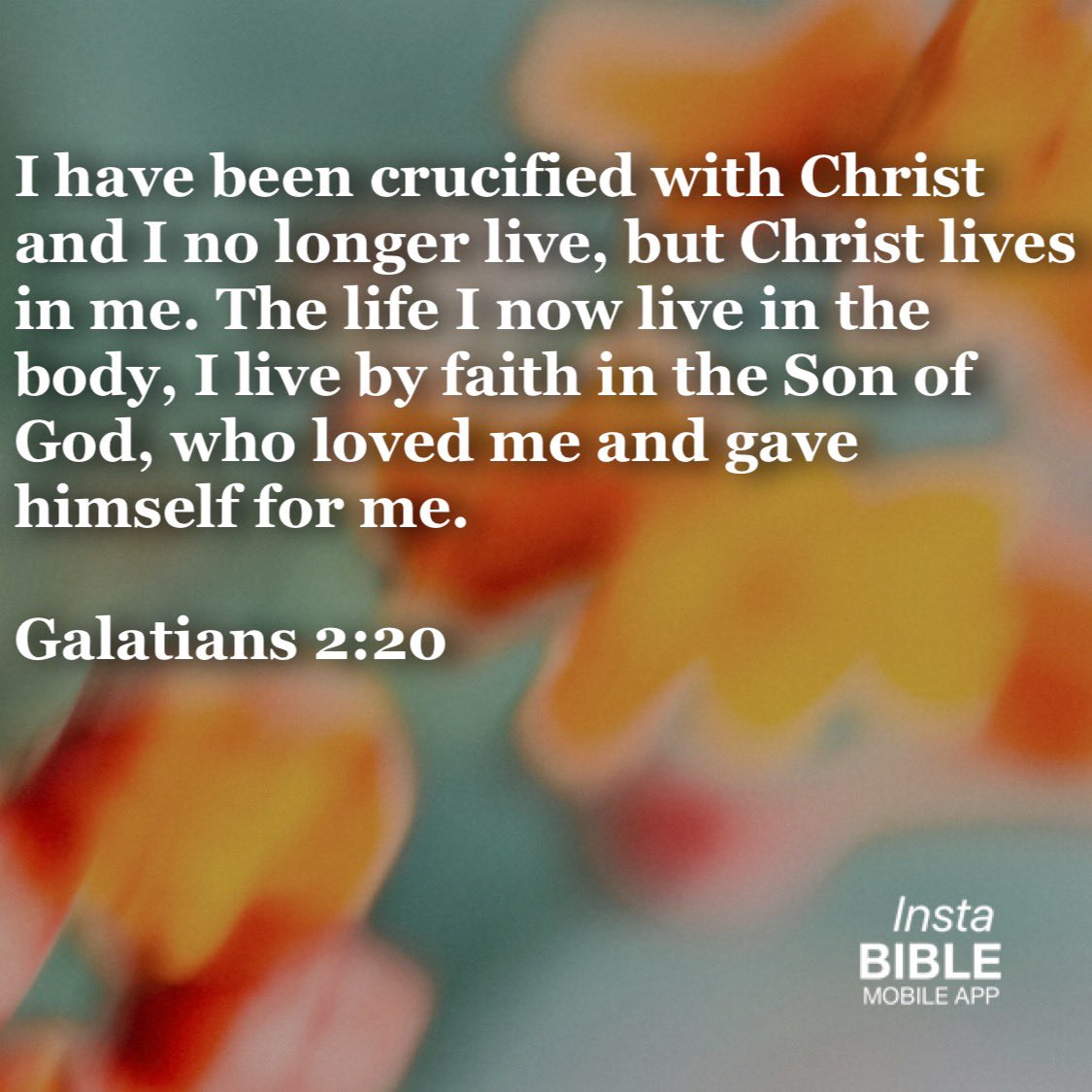 Galatians 2:20… DOWNLOAD APP 📲 <a href="/instabibleapp1/">InstaBible App</a> … link in bio… #Christ #no #live #lives #life #body #faith #Son #God #Galatians