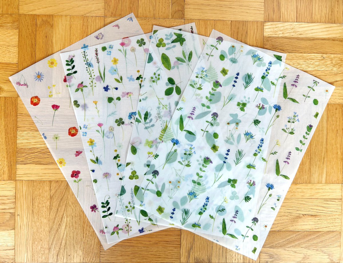 コトラモノラ/トゥールズ tweet media