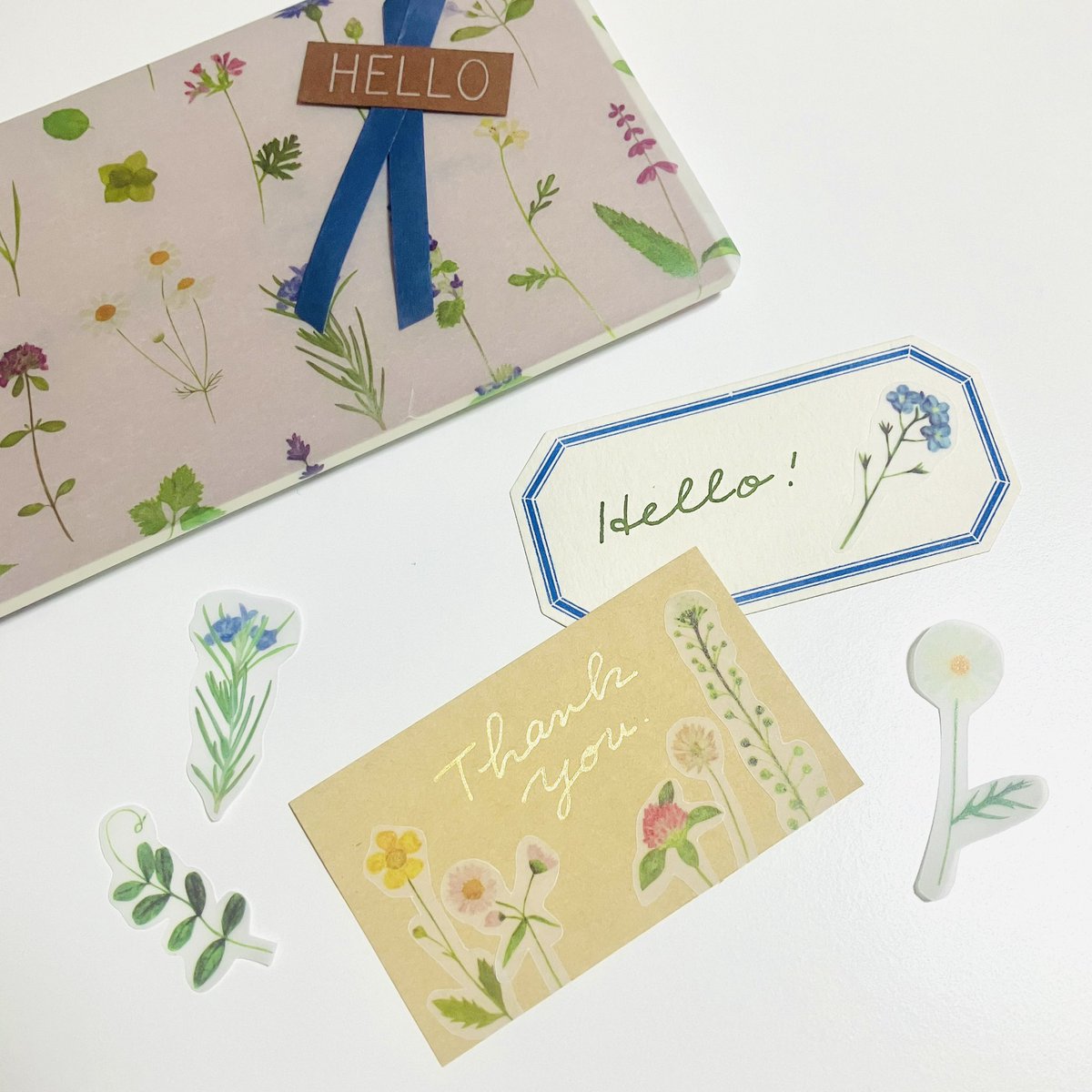 コトラモノラ/トゥールズ tweet media