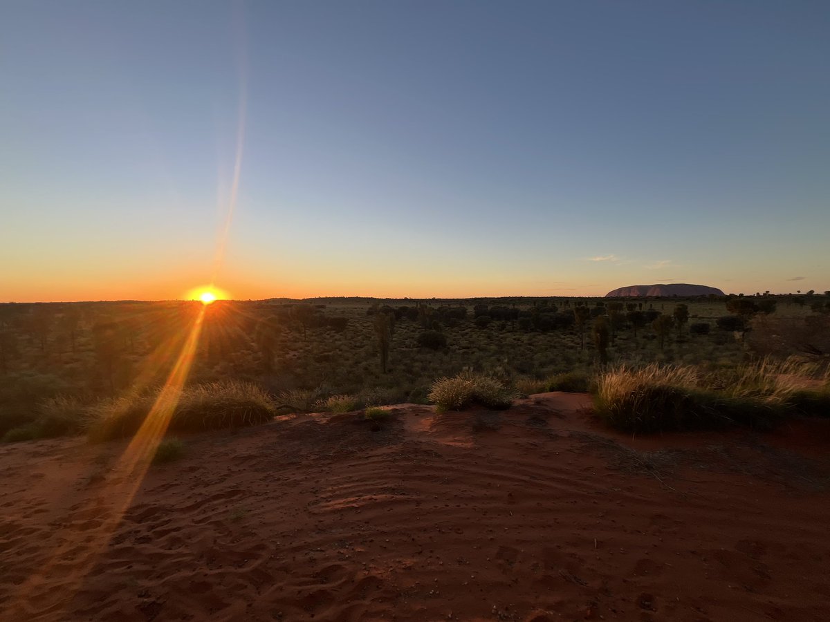 Azusa SAITO tweet media