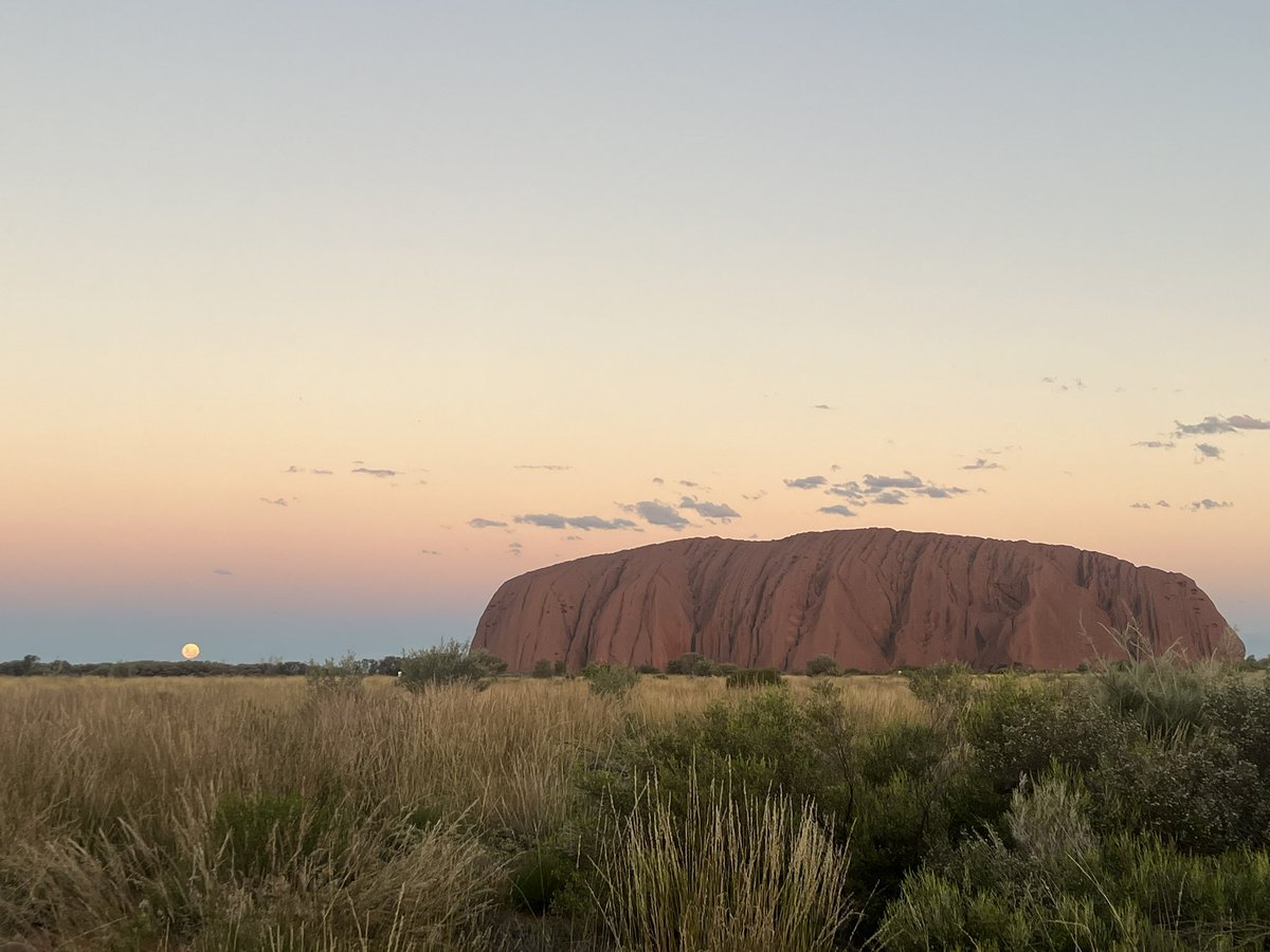 Azusa SAITO tweet media