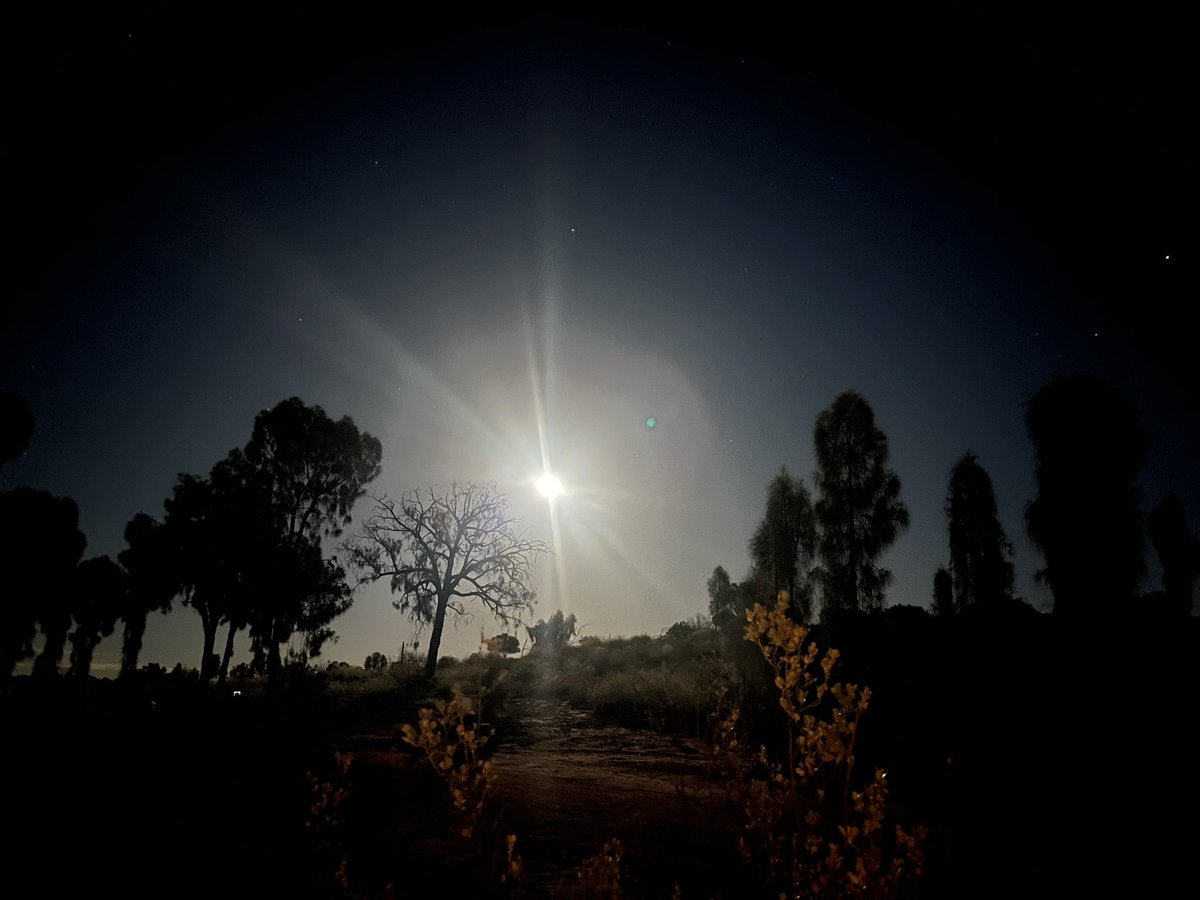 Azusa SAITO tweet media