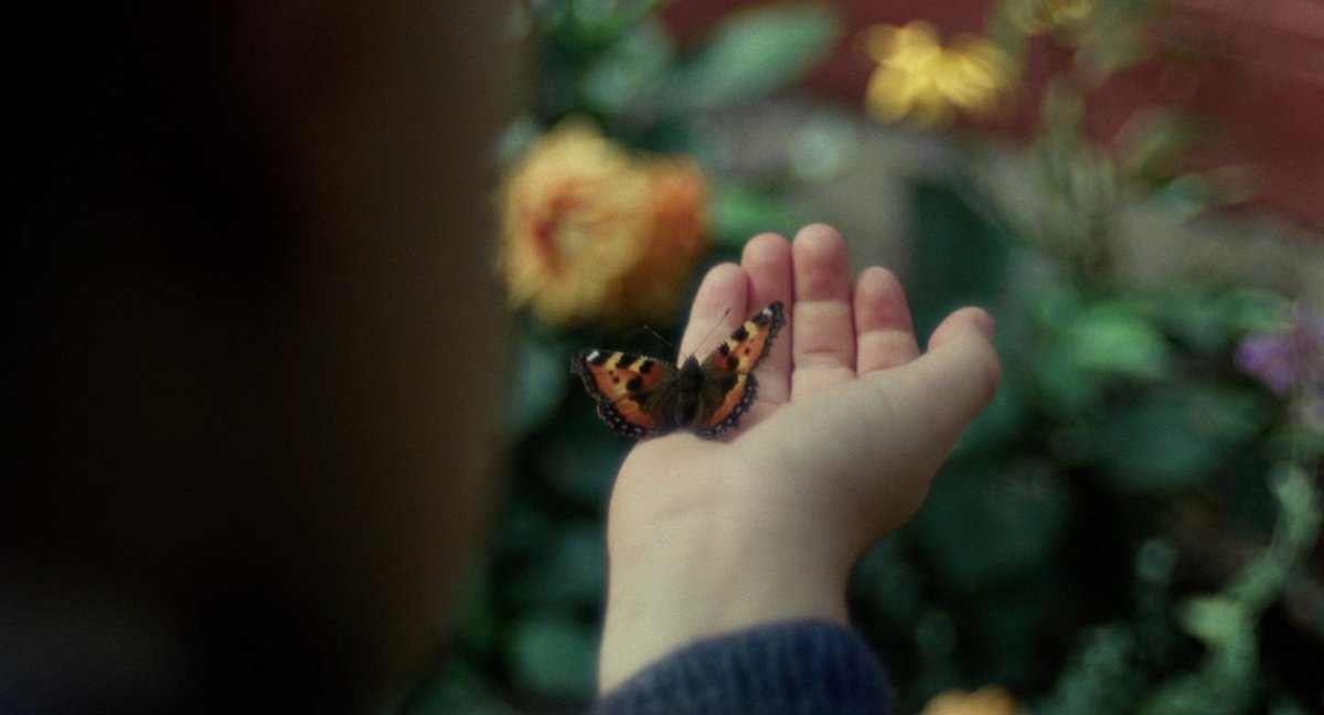 Cinema Scene tweet media