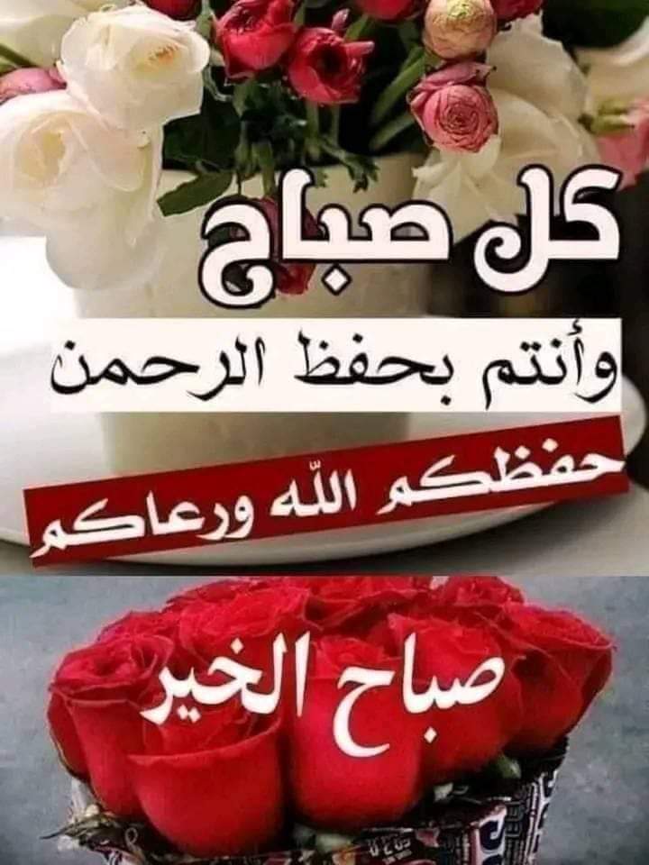 mahmaud alfar tweet media