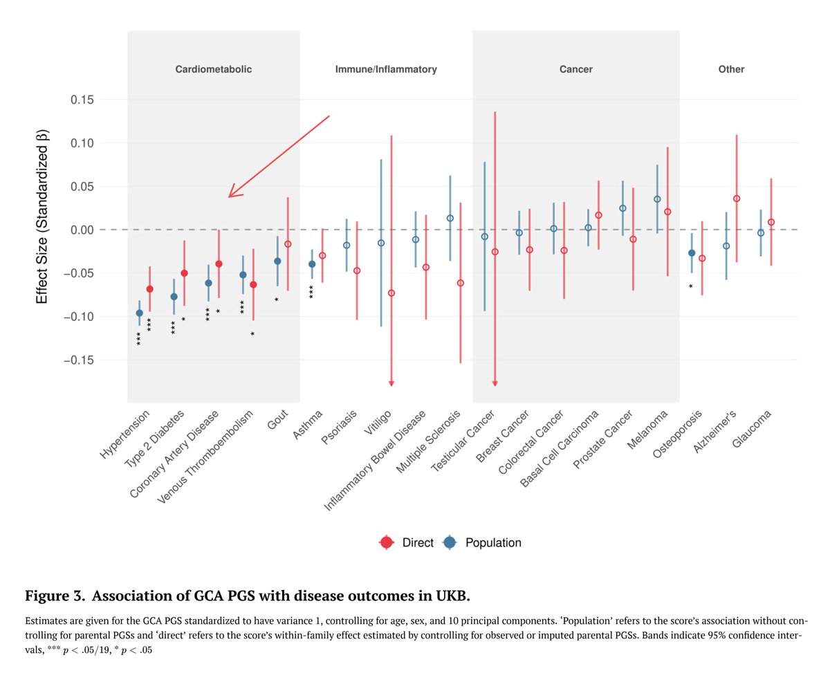 PsikoBilim tweet media