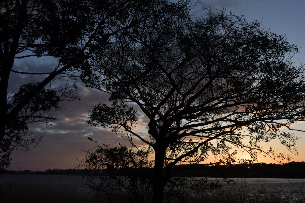 TOSHIMI HIRAYAMA tweet media