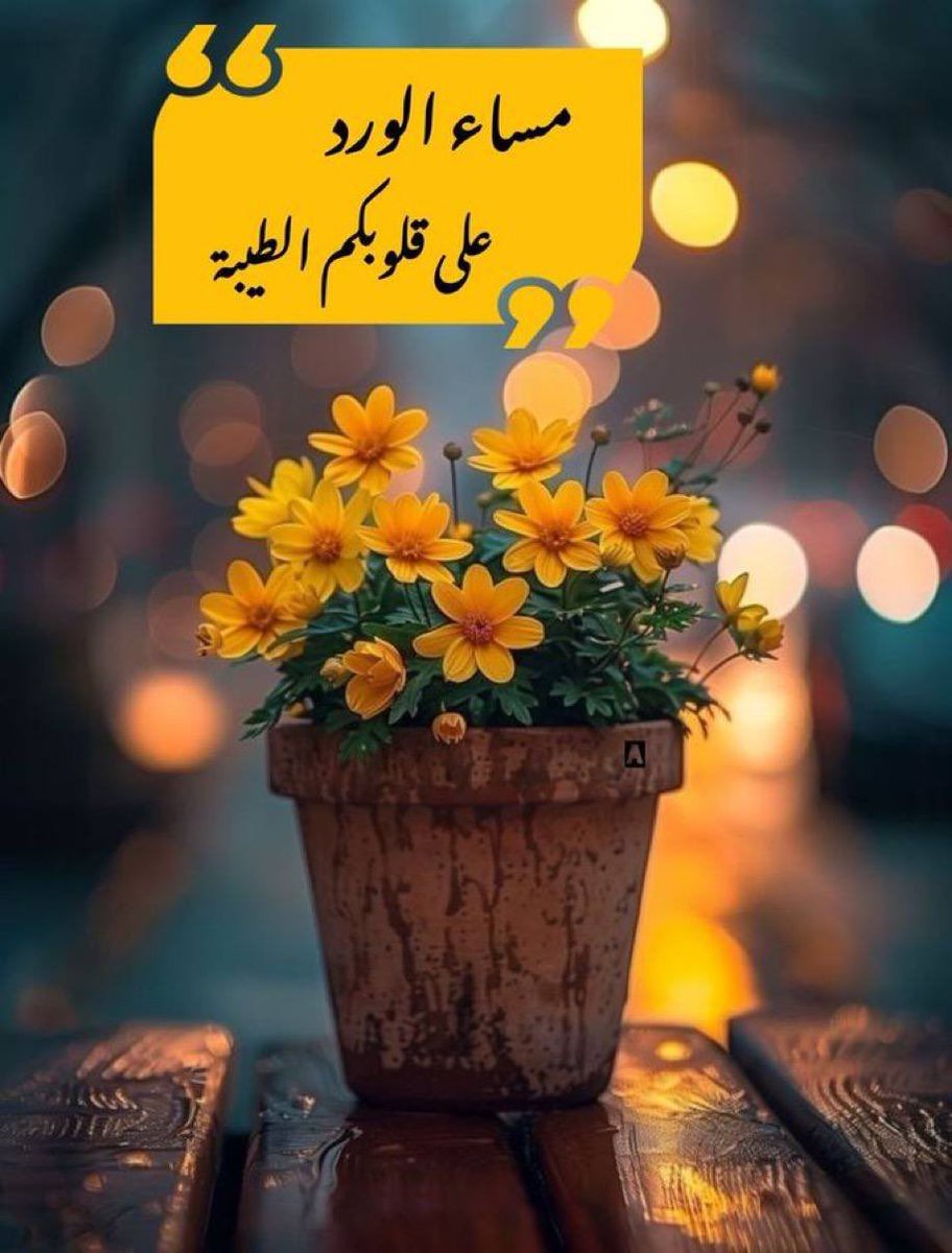 نايف tweet media