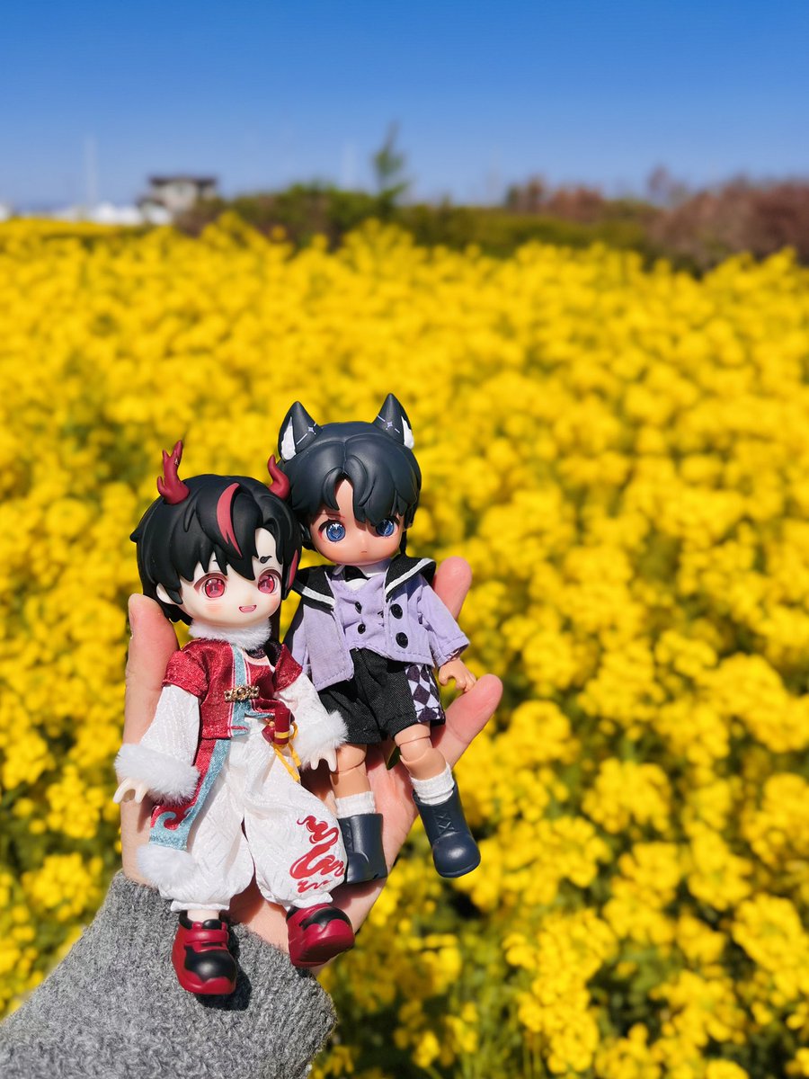 쥐인형 tweet media