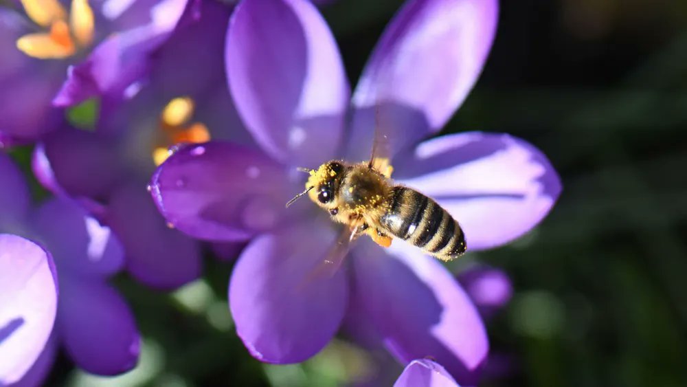 NOS Mirror tweet media