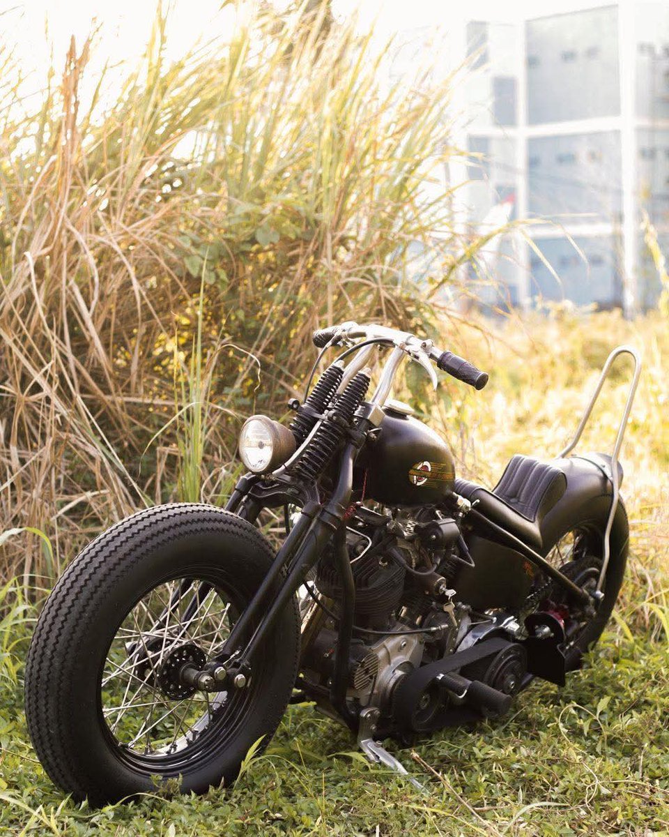 @Dynalowrider tweet media