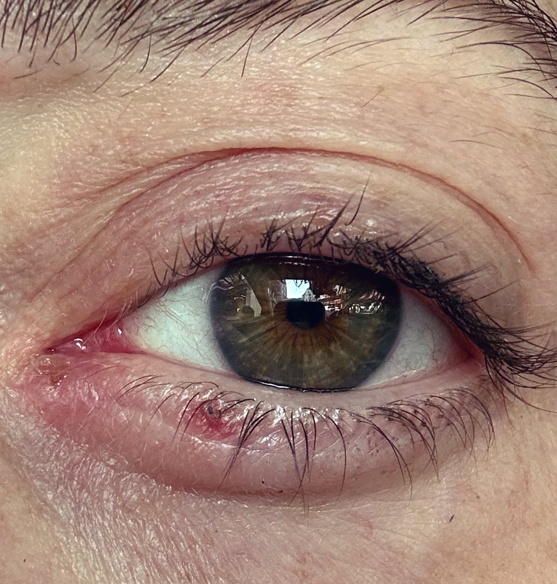 Minişo ‘Ky Ozanı’ Yoyoso tweet media