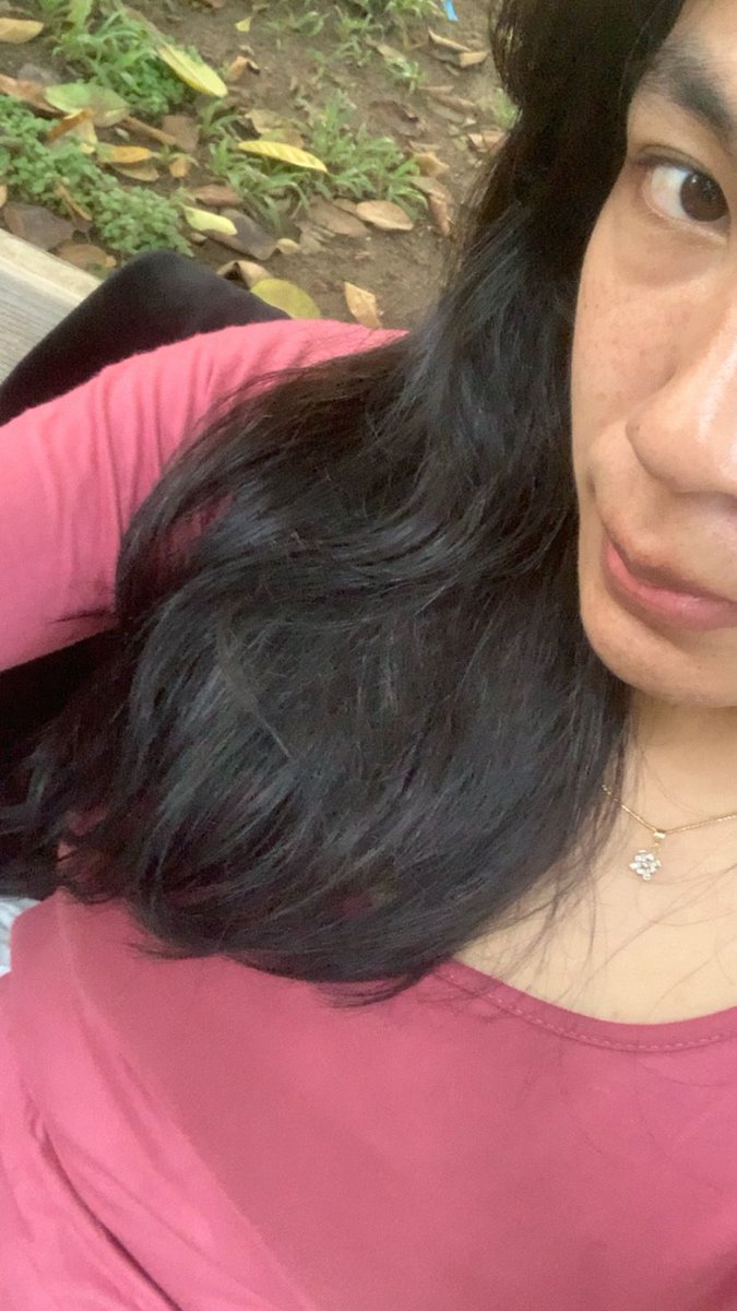 tessabogor tweet media