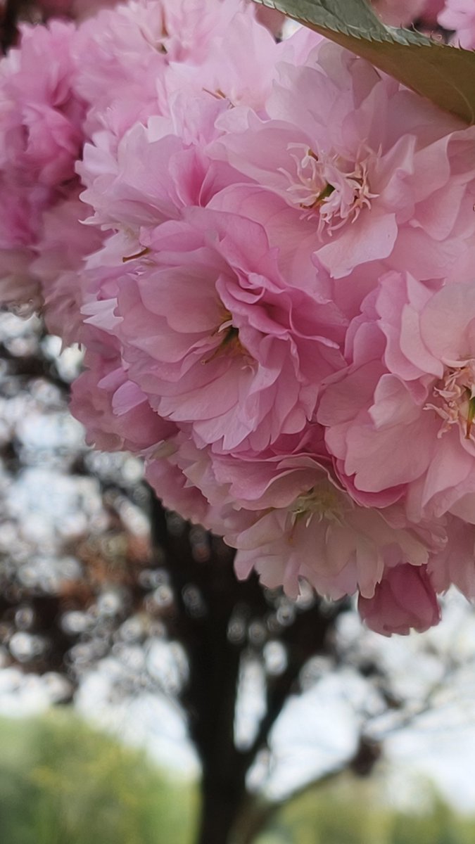 𝔸𝕟𝕒 🦋 tweet media