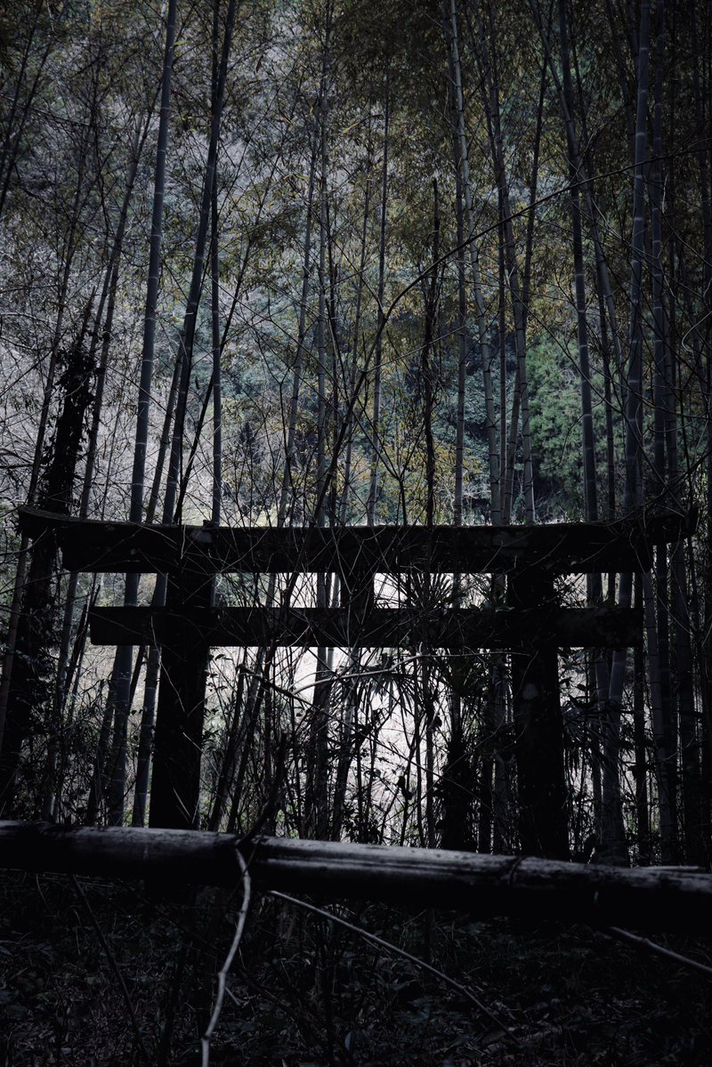 しどろ tweet media