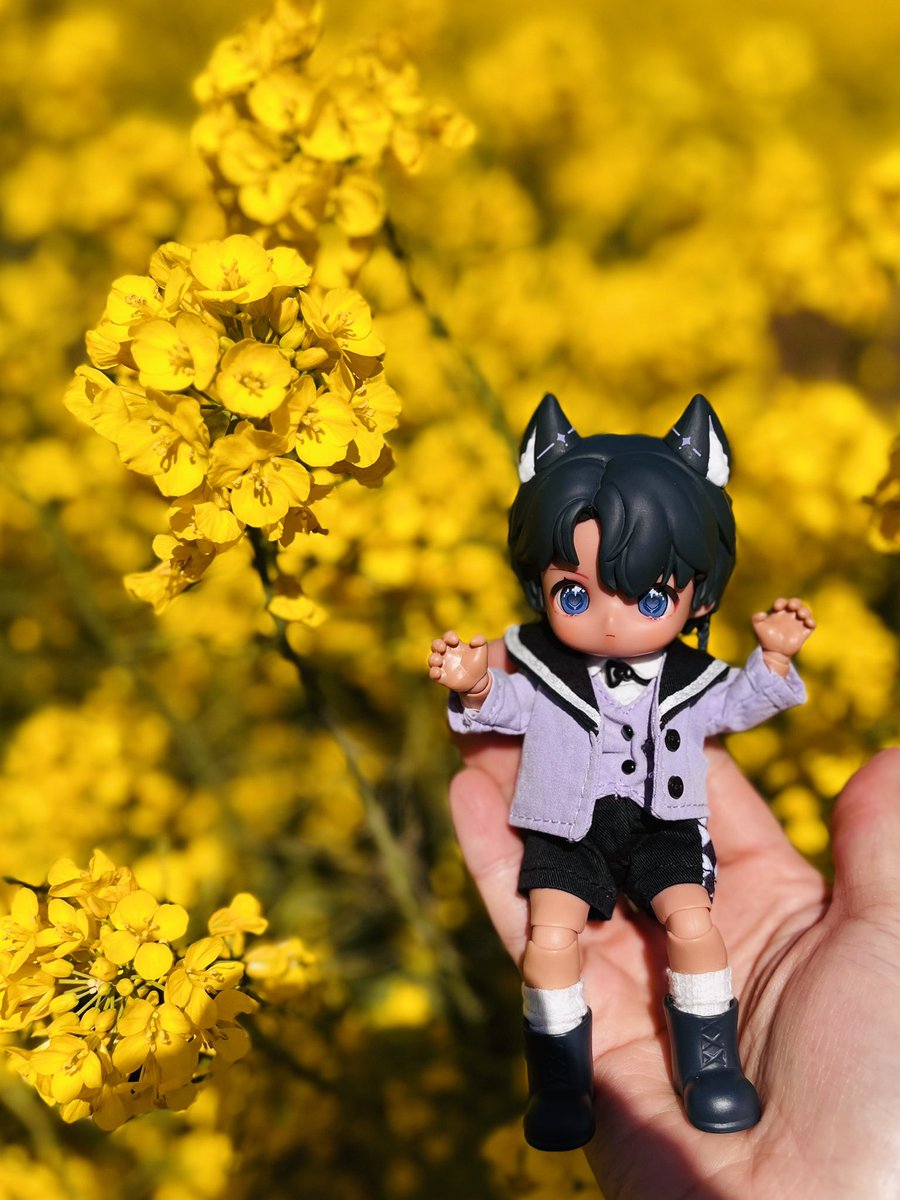 쥐인형 tweet media