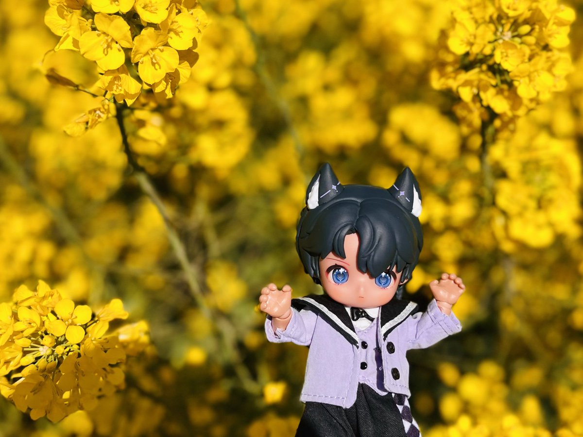 쥐인형 tweet media