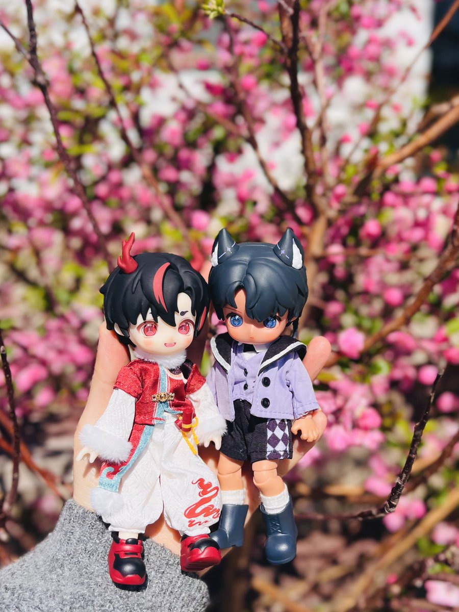 쥐인형 tweet media