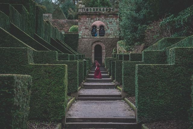 stonehenge2500's tweet photo. MISTRESS OF THE MAZE
https://t.co/Vcmsgt2lUw King Henry II is a known womaniser but Fair Rosamund is more than a passing affair. He keeps her within a walled bower but Eleanor of Aquitaine knows the truth... Medieval Romance & tragedy. #KindleUnlimited #easterread https://t.co/KtTFBZMFNi