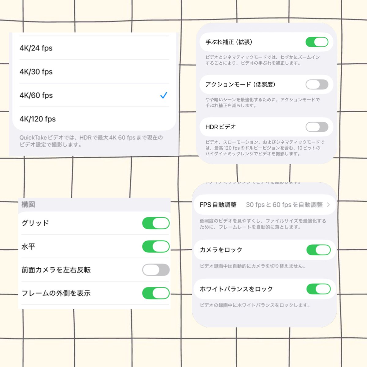 ﾘｵｻﾞｳﾙｽ⋆͛🦖⋆͛ tweet media