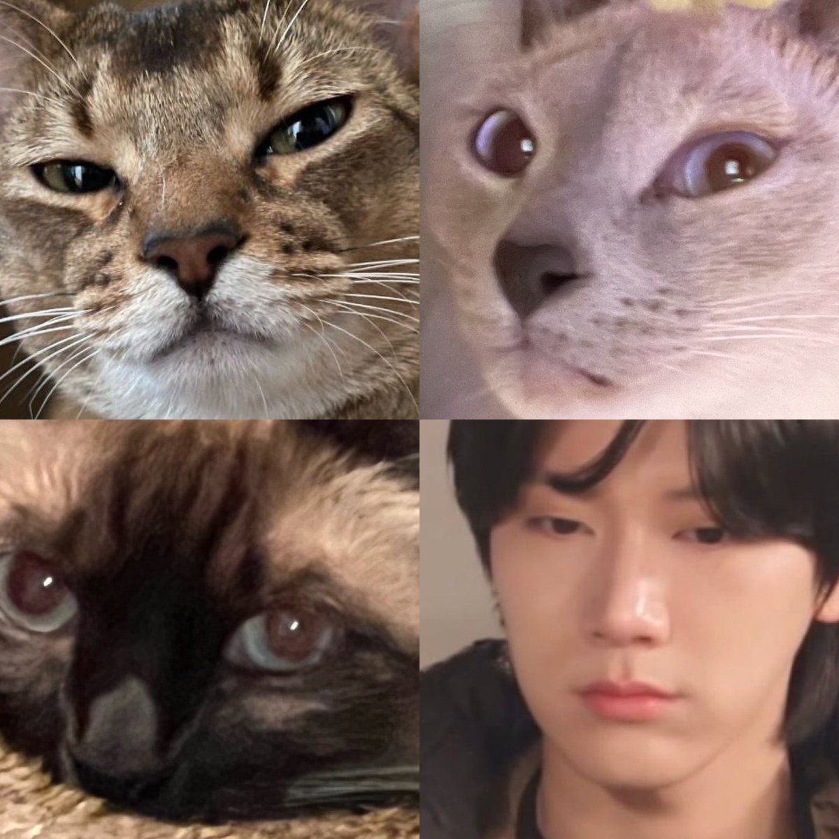 porpor 💜🍀 tweet media