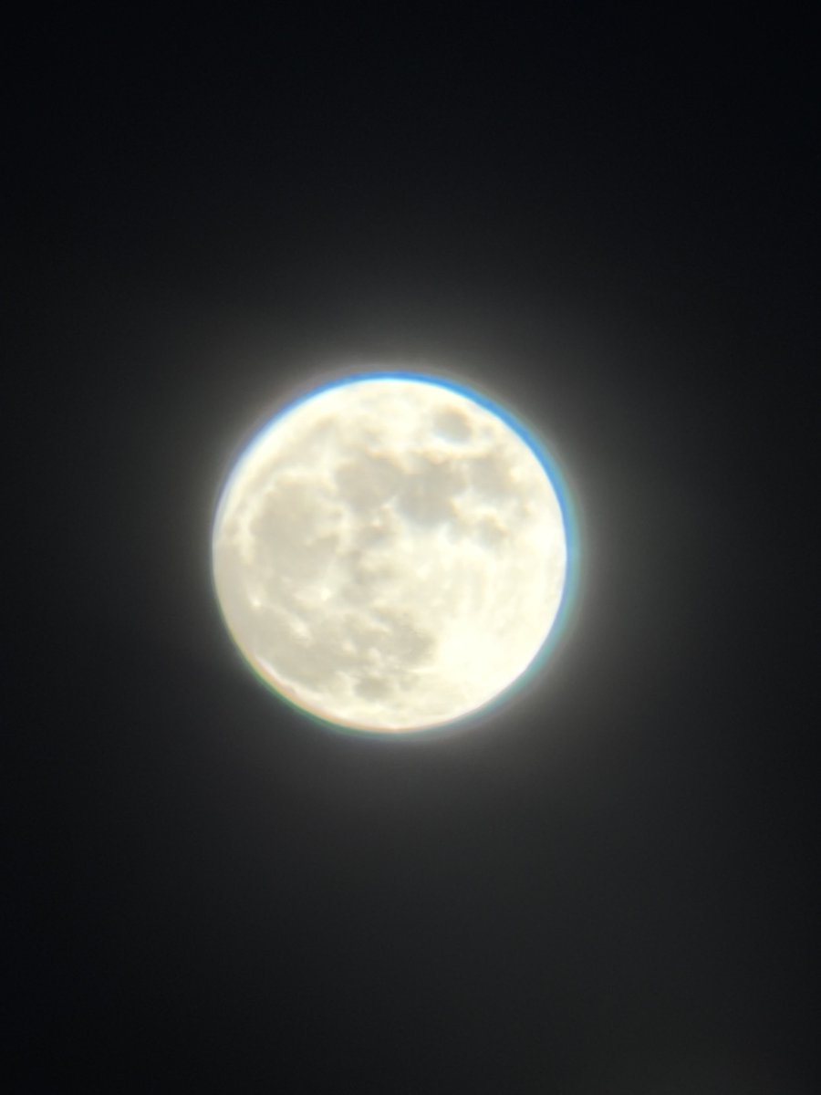 NuttyPaws tweet media