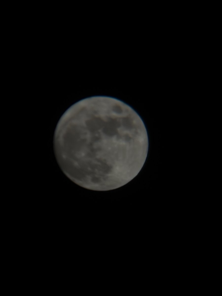 NuttyPaws tweet media