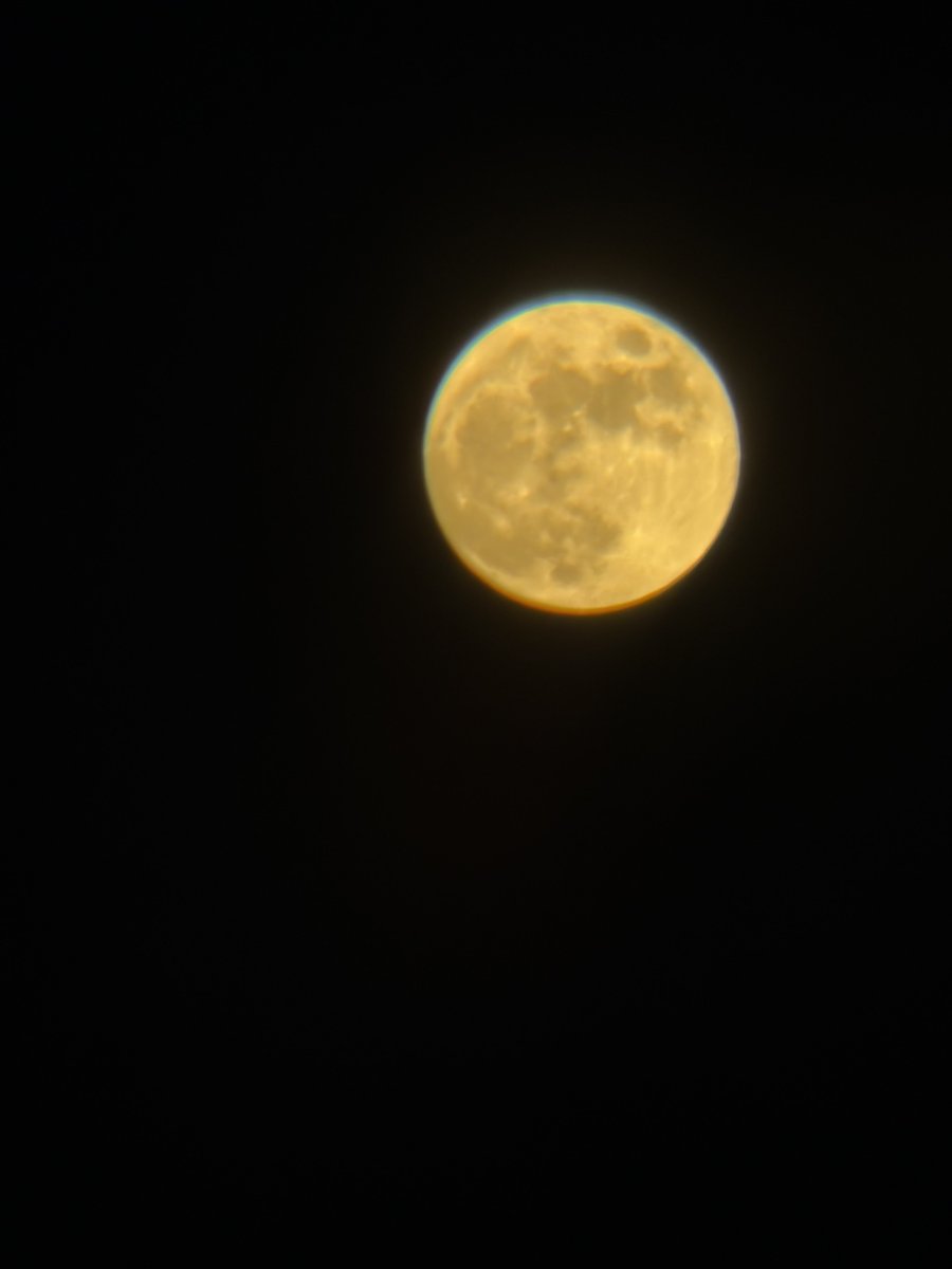 NuttyPaws tweet media