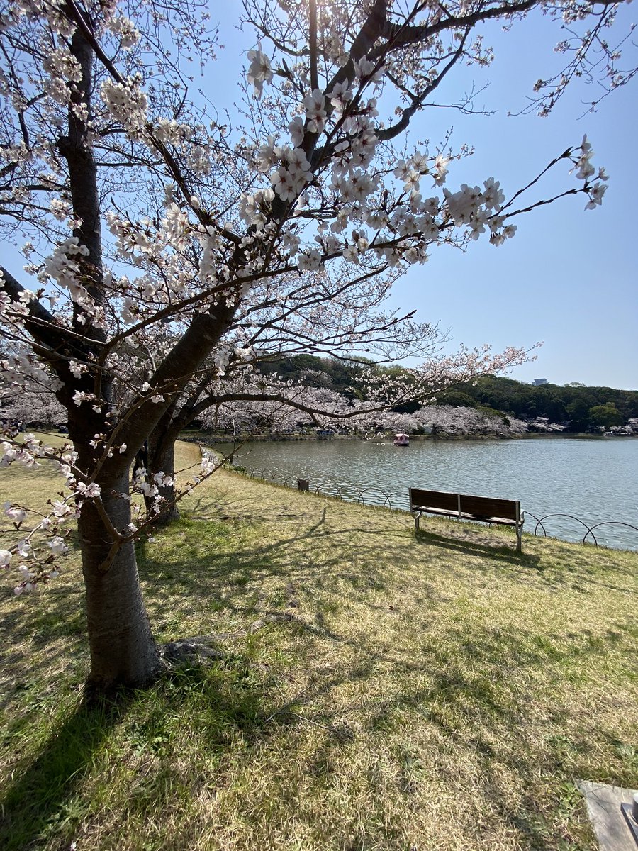 Jonathan Hiro tweet media