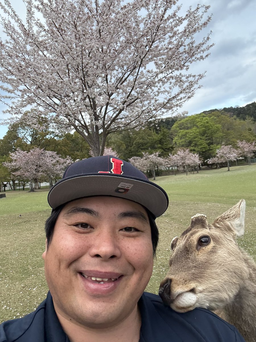 へずまりゅう tweet media